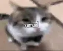 samuel