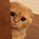 watching