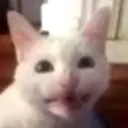 TheGuest TheGuest