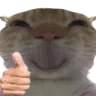 c_cat_thumbsup