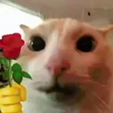 LAW_cflorecita