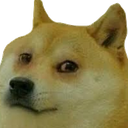 Doge Discord emoji