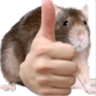 RataYes Discord emoji