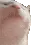 vibecat