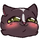 blushywushy