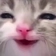 GatoFelish Discord emoji