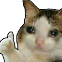 OkeyCryCat Discord emoji