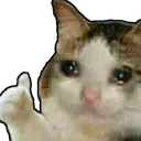 OkeyCryCat Discord Emoji