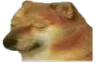 stefan