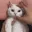 angrycat
