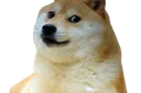 DOGE Discord Emoji