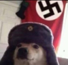 NaziDog Discord emoji