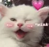 winkywinky