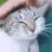 CatPats