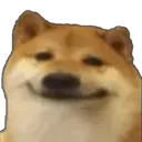 shibasmile