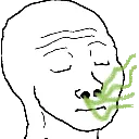 sniff