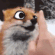 Booped