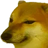 cheems
