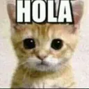 holaa