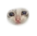 sad_peek