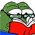 S_sbg_pepeReading