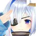 PPSalute