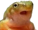 Gasp