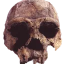 skull2