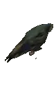 saphrun saphrun