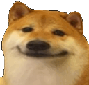 Dog_smirk Discord emoji