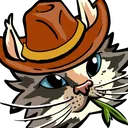 Meowdy_Beans