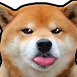 RaspberryShiba