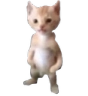 michael Discord emoji