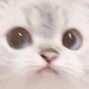 Iseeya