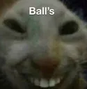 balls