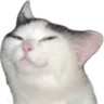 melonsmug