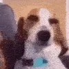 ezgif