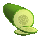 Cucumber