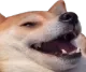 KekDoggo