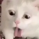 ew
