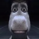 DONKAY