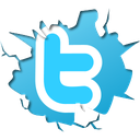 twitter Discord emoji