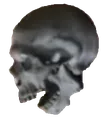 skull10 skull10