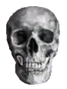 skull13