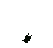 Fly