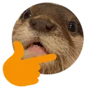 otterthink