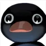 cursed_noot cursed_noot