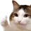 thumbcat