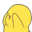 R_ishiDuckVibe