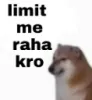 exe_limit_me_reh